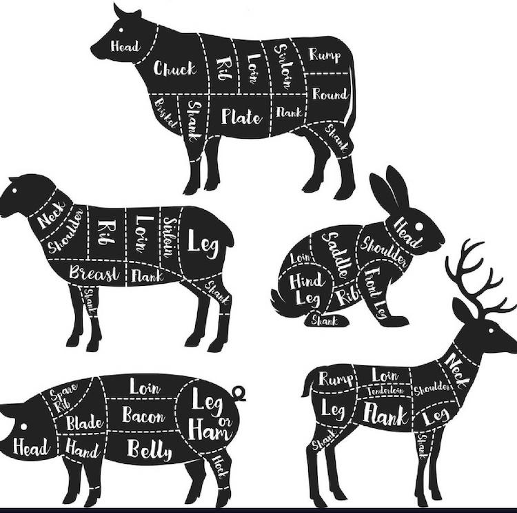 Butcher Better - Cuts of Meat Diagram for Beef, Pork, Lamb, Rabbit, and Venison
